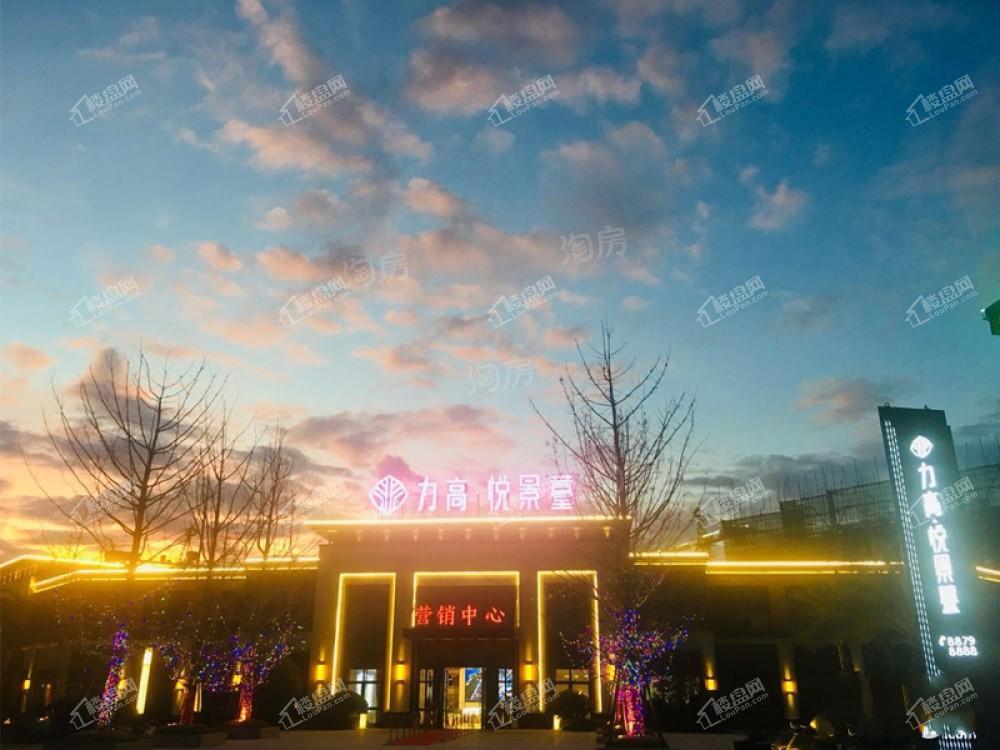 力高悦景薹实景图