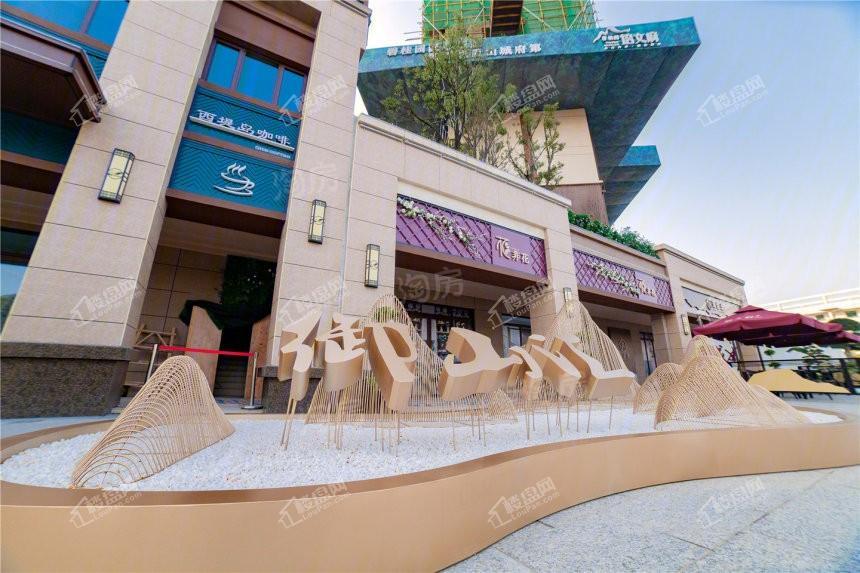 碧桂园·御园实景图