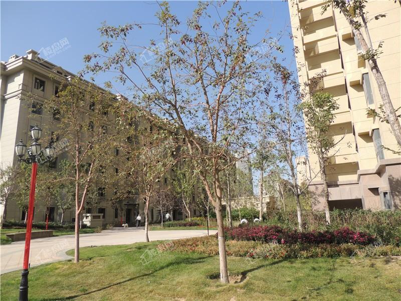 中豪润园实景图