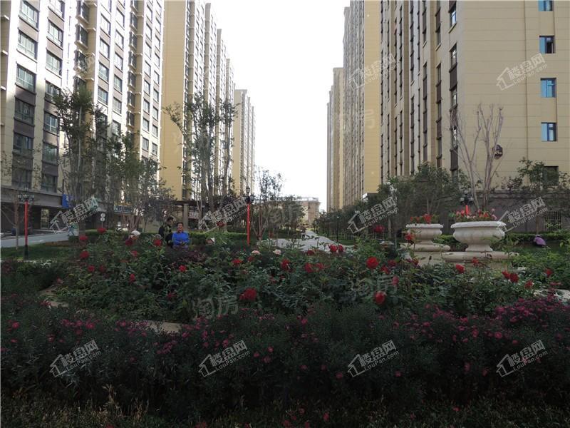 中豪润园实景图