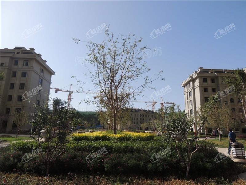 中豪润园实景图