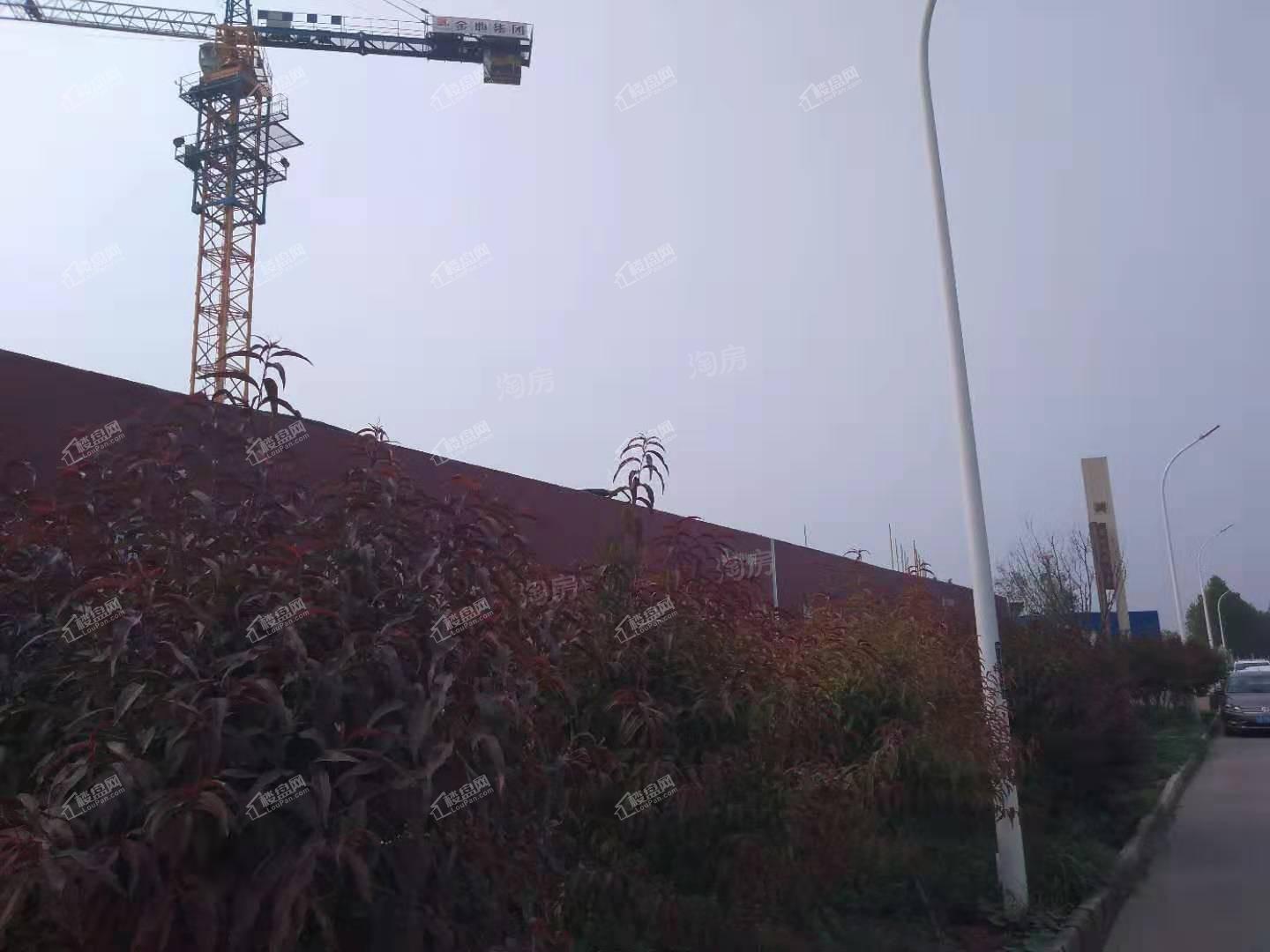 金科集美郡实景图