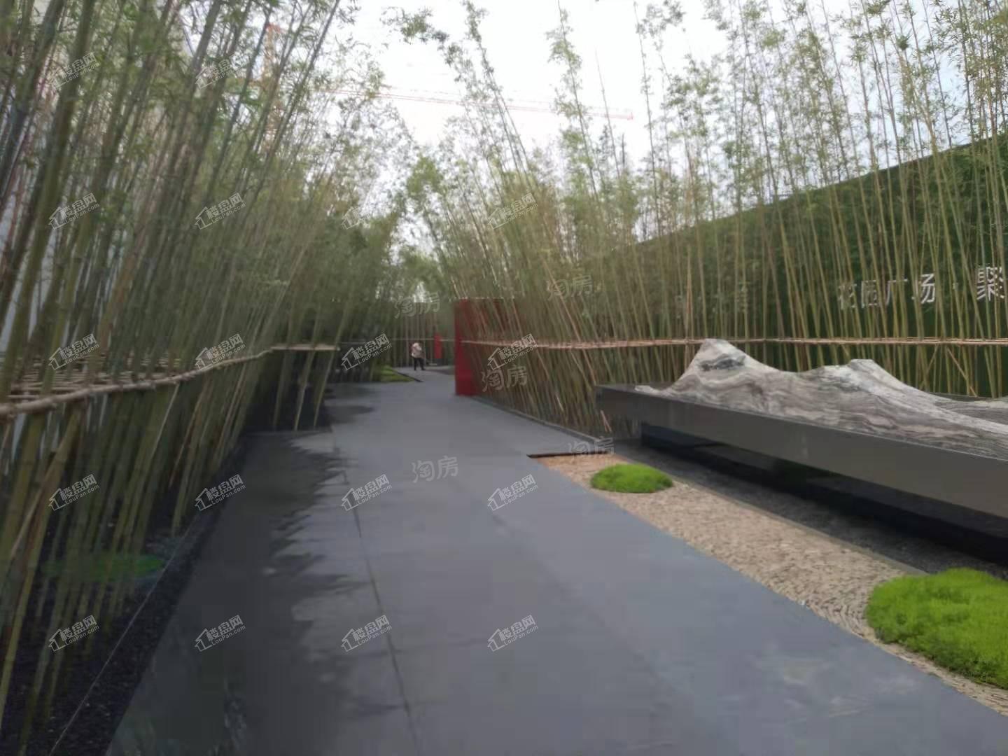 金科集美郡实景图