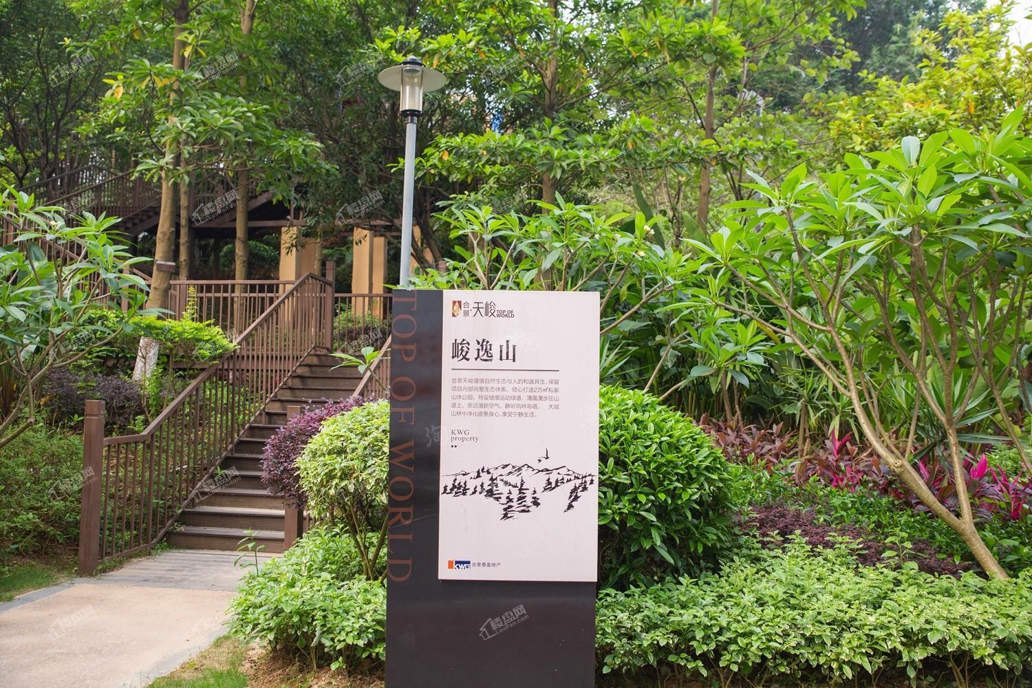 合景天峻实景图