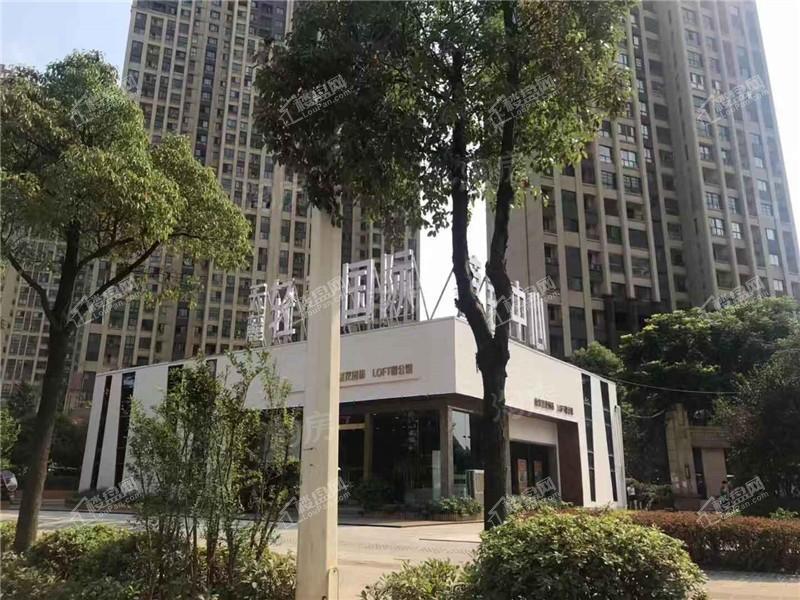 天麓轻奢国际实景图