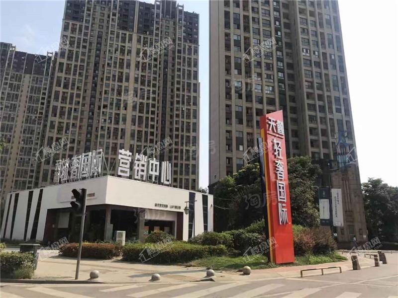 天麓轻奢国际实景图