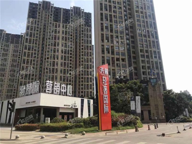 天麓轻奢国际实景图