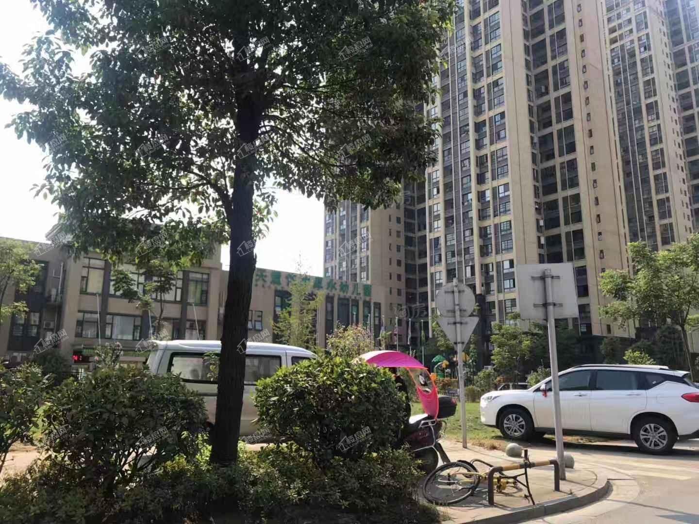 天麓轻奢国际实景图