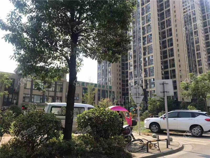 天麓轻奢国际实景图