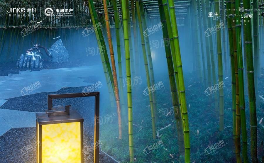 金科禹洲府实景图