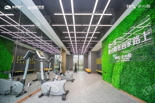 铂悦·庐州府实景图