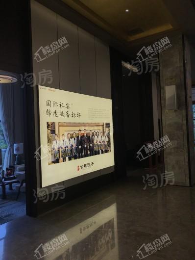 文一泰禾·合肥院子实景图