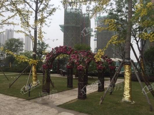 中南熙悦实景图