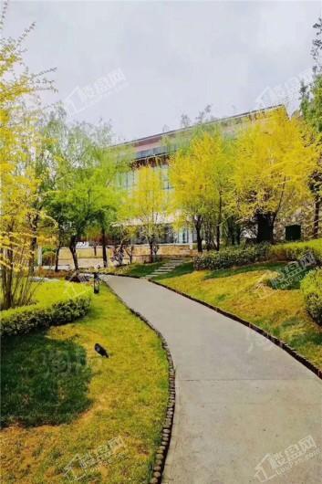 富力西柏水镇实景图