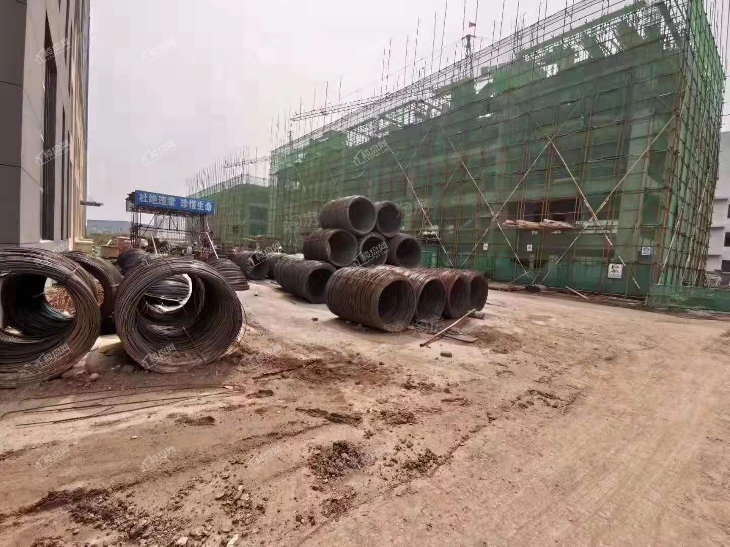 实景图