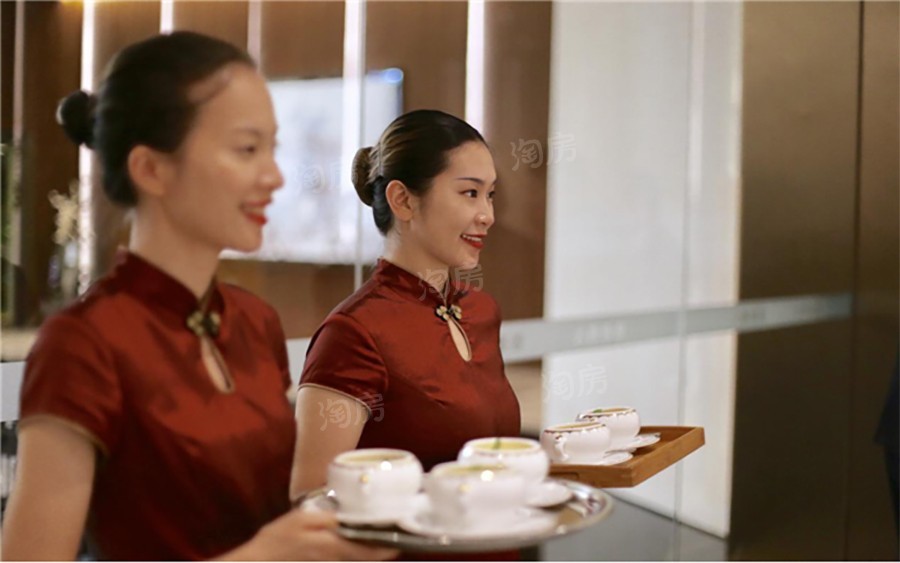 大唐臻观配套图