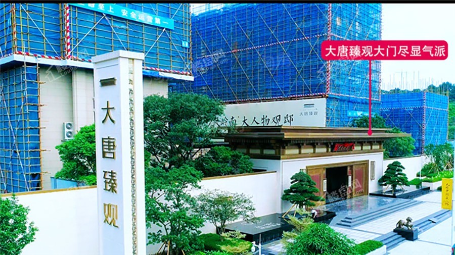 大唐臻观实景图