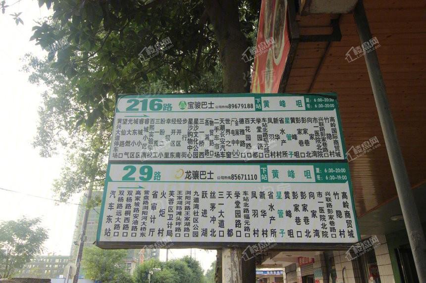 金辉优步湖畔实景图