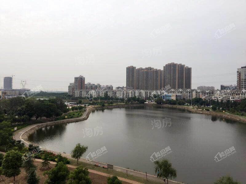 金地悦海湾实景图