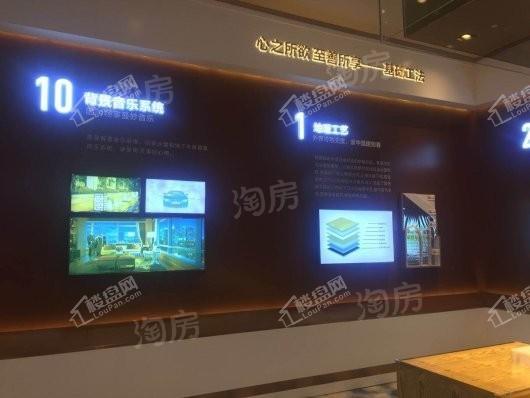 美盛象湖100实景图