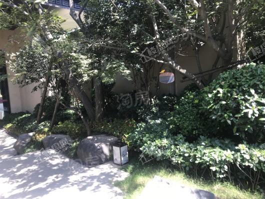 招商花漫里实景图