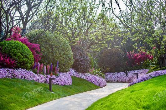 龙湖·景粼玖序实景图