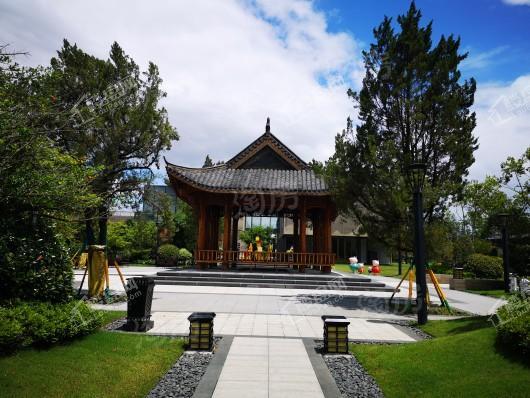 新滨湖·孔雀城实景图