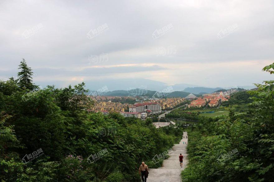 金杯半山·云上溪谷实景图