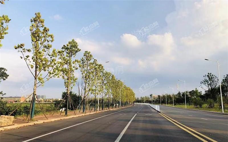 鸿海公园里实景图