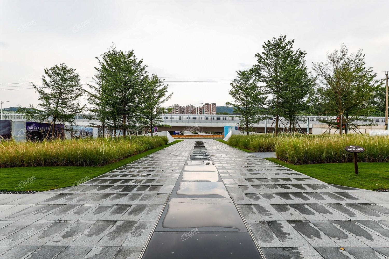实景图