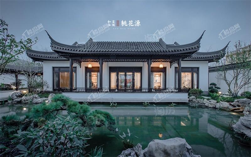 和泓蓝城·桃花源效果图