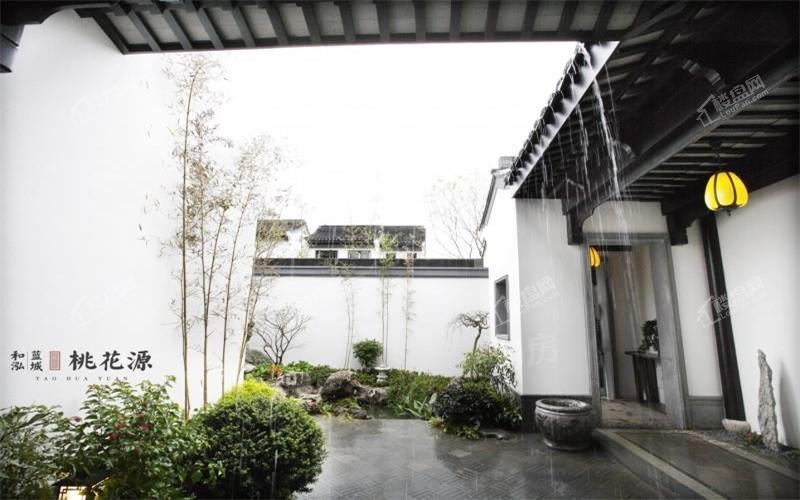 和泓蓝城·桃花源样板间