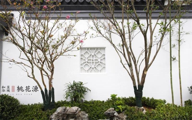 和泓蓝城·桃花源样板间