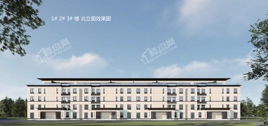 大众置业理想城市效果图