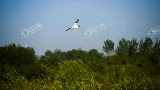 龙湖·景粼玖序配套图