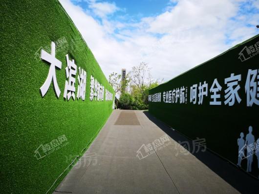 新滨湖·孔雀城实景图