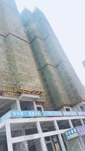 玉水金苑实景图
