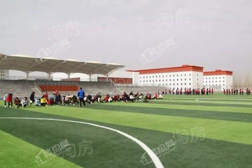 实景图