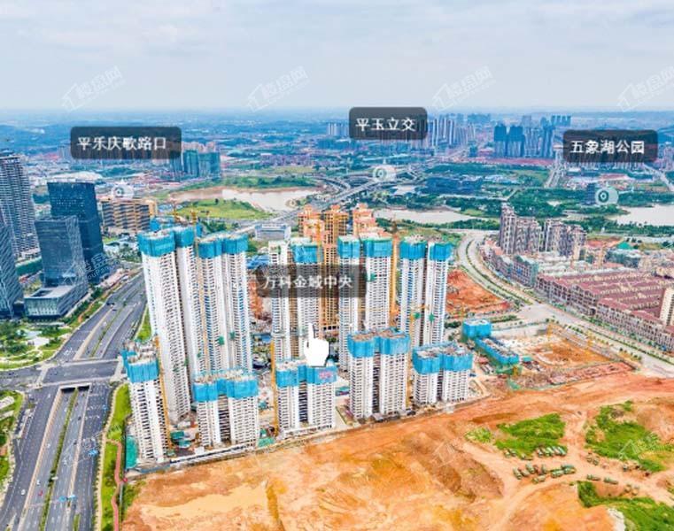 万科金域中央实景图