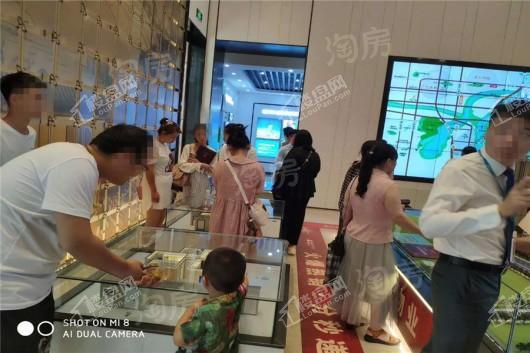 雅居乐·天域实景图