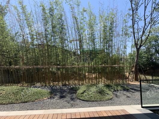 万科民安三度湖山实景图