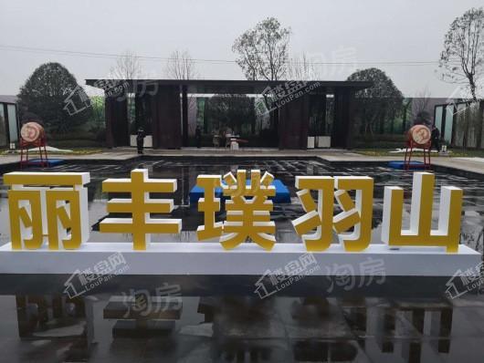 丽丰璞羽山实景图