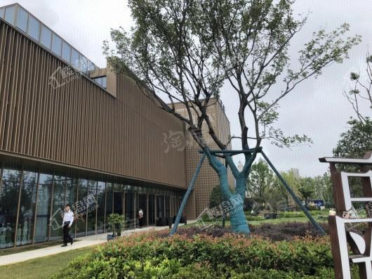 融侨·天越实景图