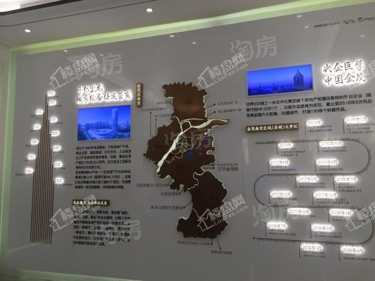 江宁金茂悦云筑实景图