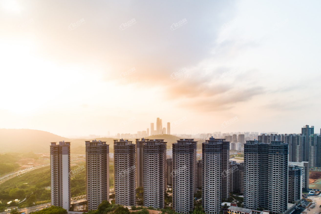 保利领秀前城实景图