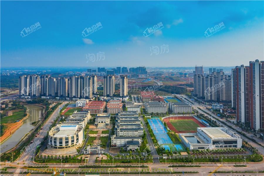 荣和五象学府配套图