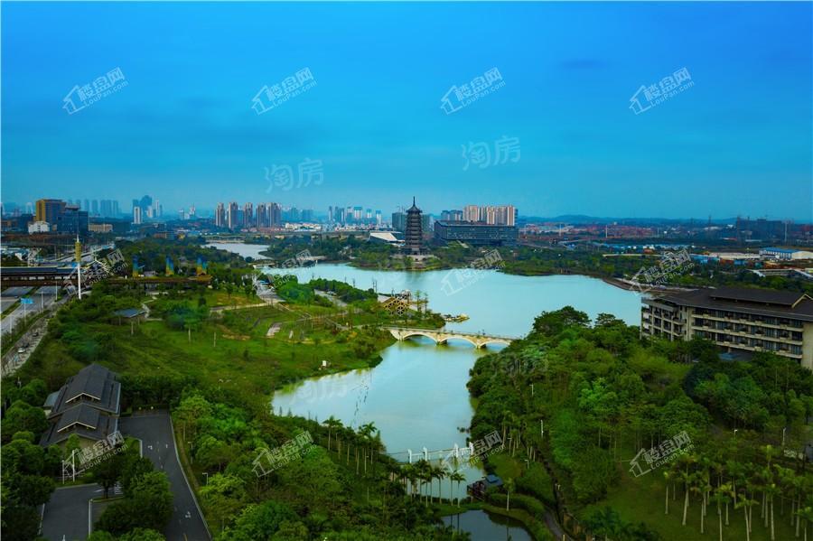 荣和五象学府配套图