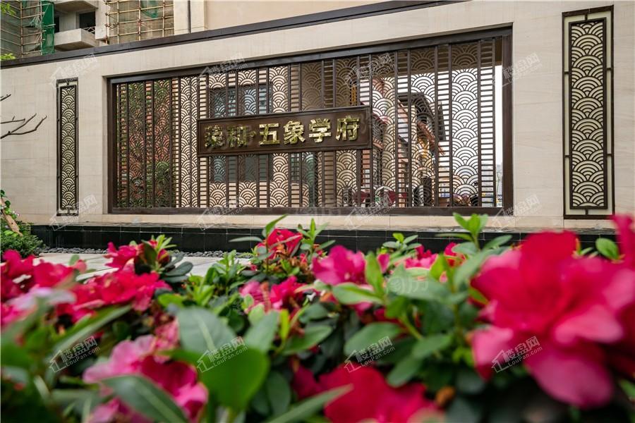 荣和五象学府实景图