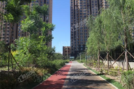 远鹏香林郡实景图