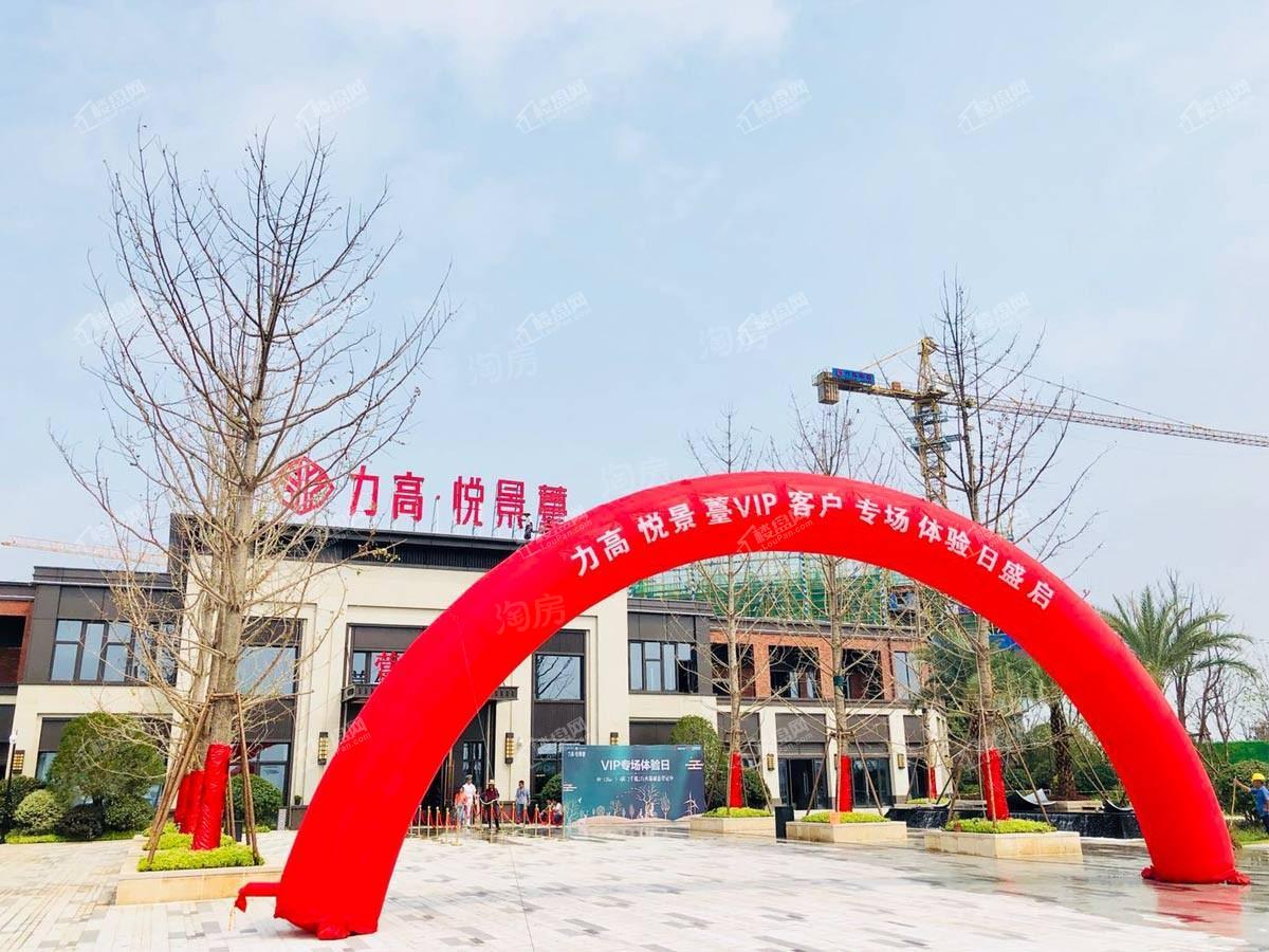 力高悦景薹实景图